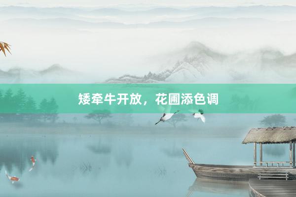 矮牵牛开放，花圃添色调