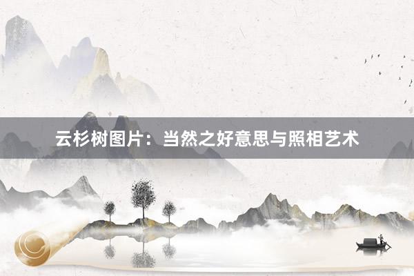 云杉树图片：当然之好意思与照相艺术